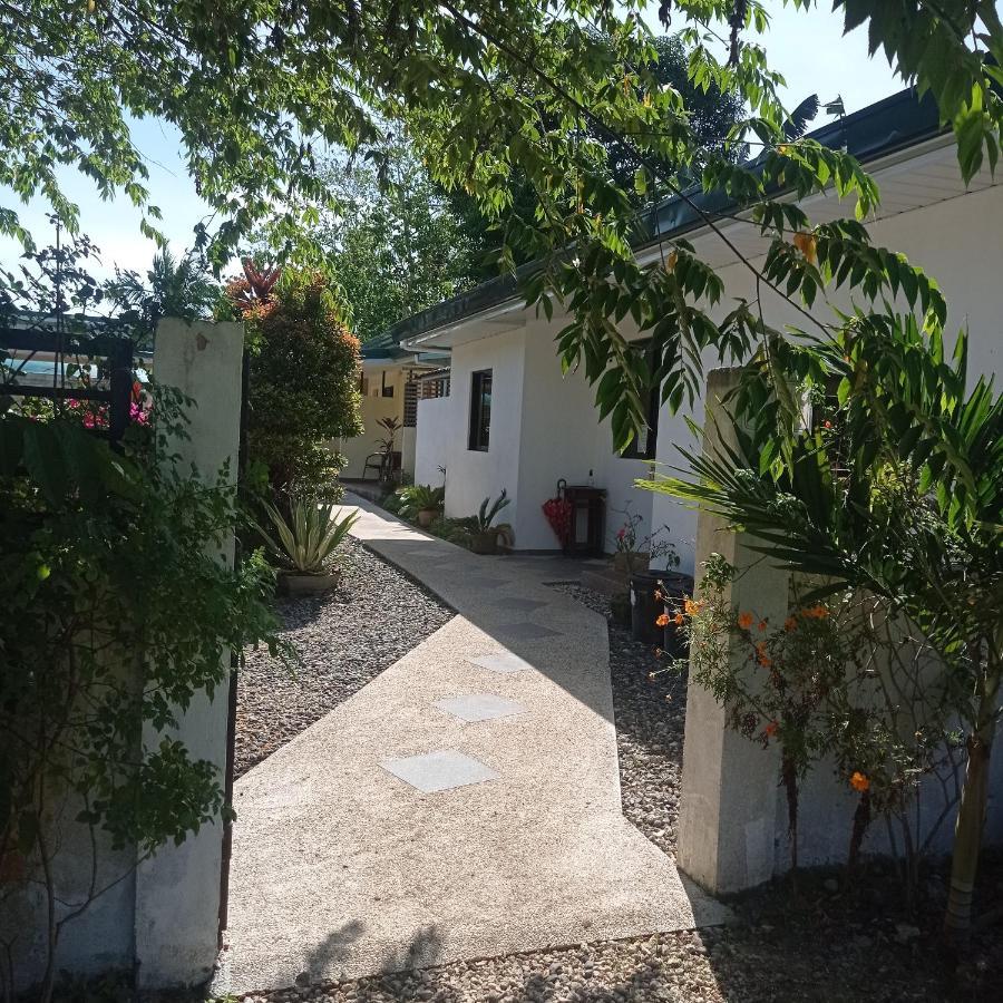 Midnite Inn Panglao City Exterior foto