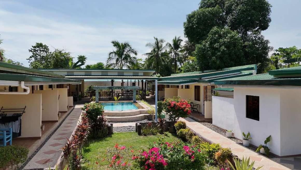 Midnite Inn Panglao City Exterior foto